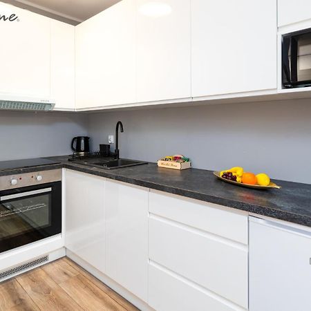 Wonder Home - Apartamenty W Sercu Karpacza, Blisko Deptaka I Terenow Zielonych Exterior photo
